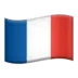 French flag